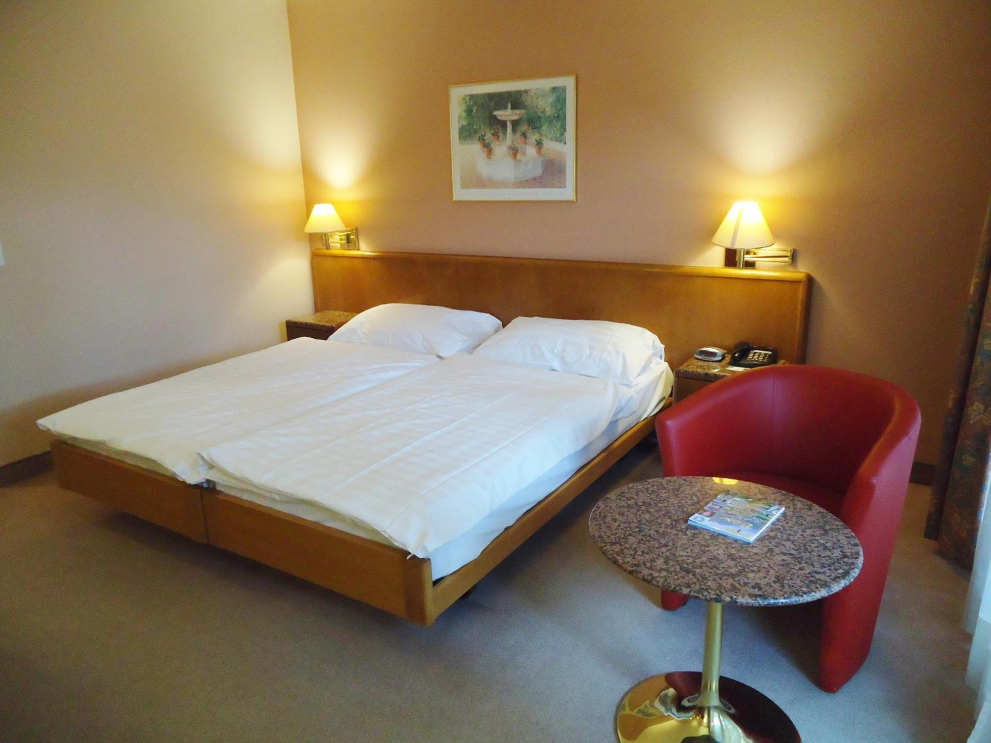 Hotel Le Cedre Bex Ruang foto